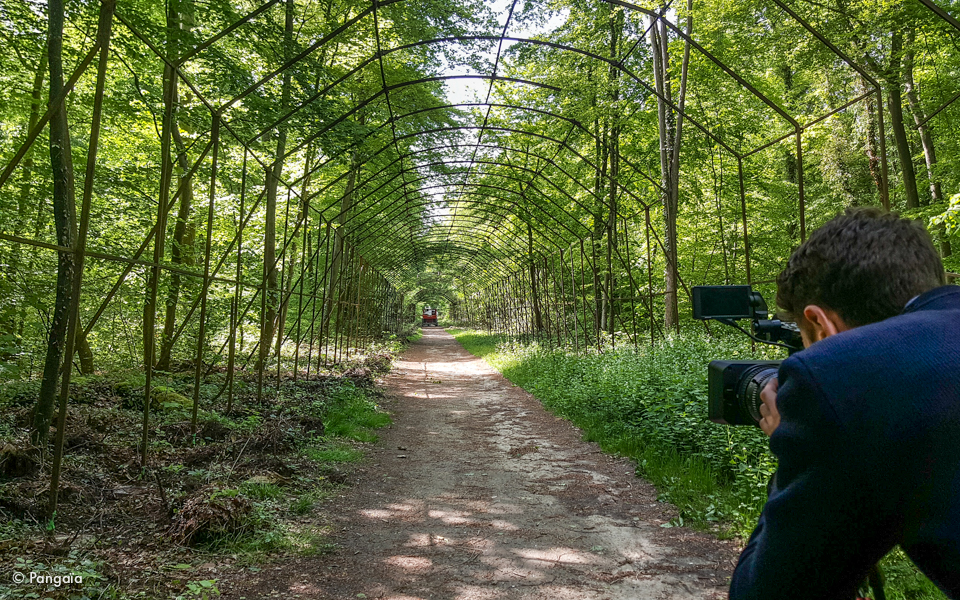 berceau de l'impératrice