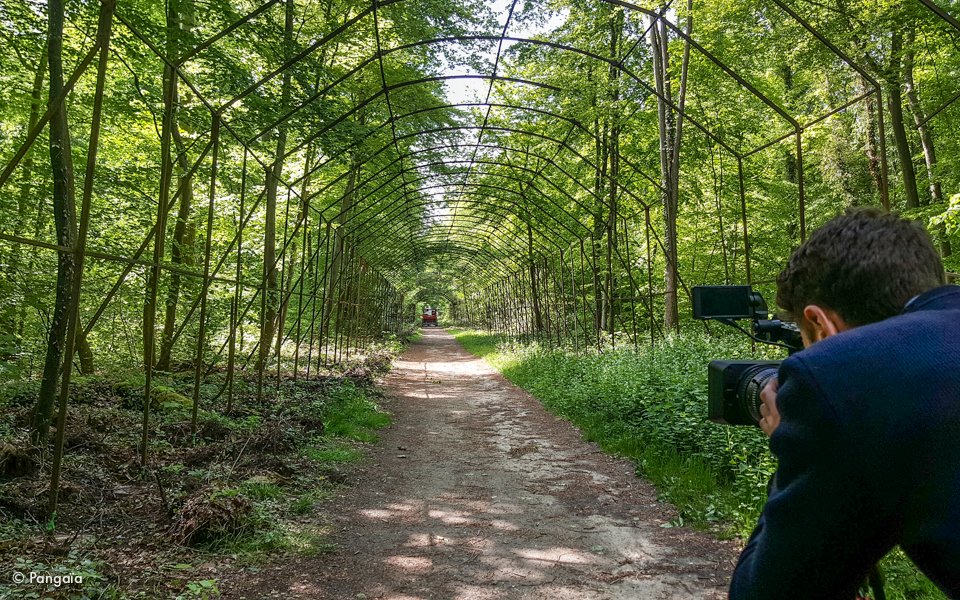 berceau de l'impératrice